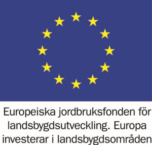 EU LOGO